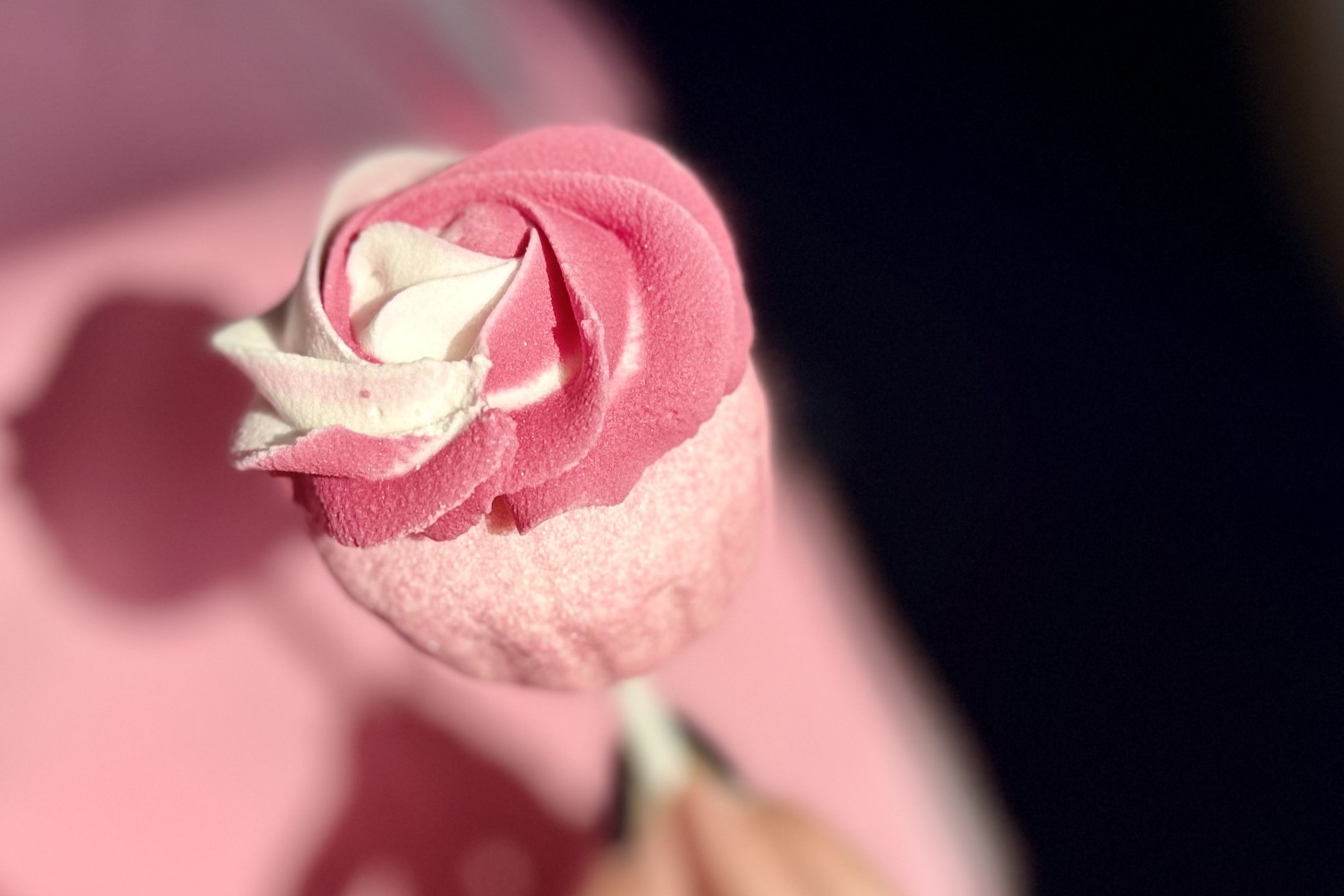 Rosezumvernaschen