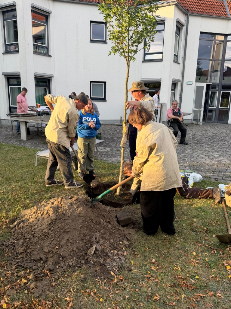 2026 09 17 AfE WLH Pfadfinder Pflanzaktion 9 Mittel