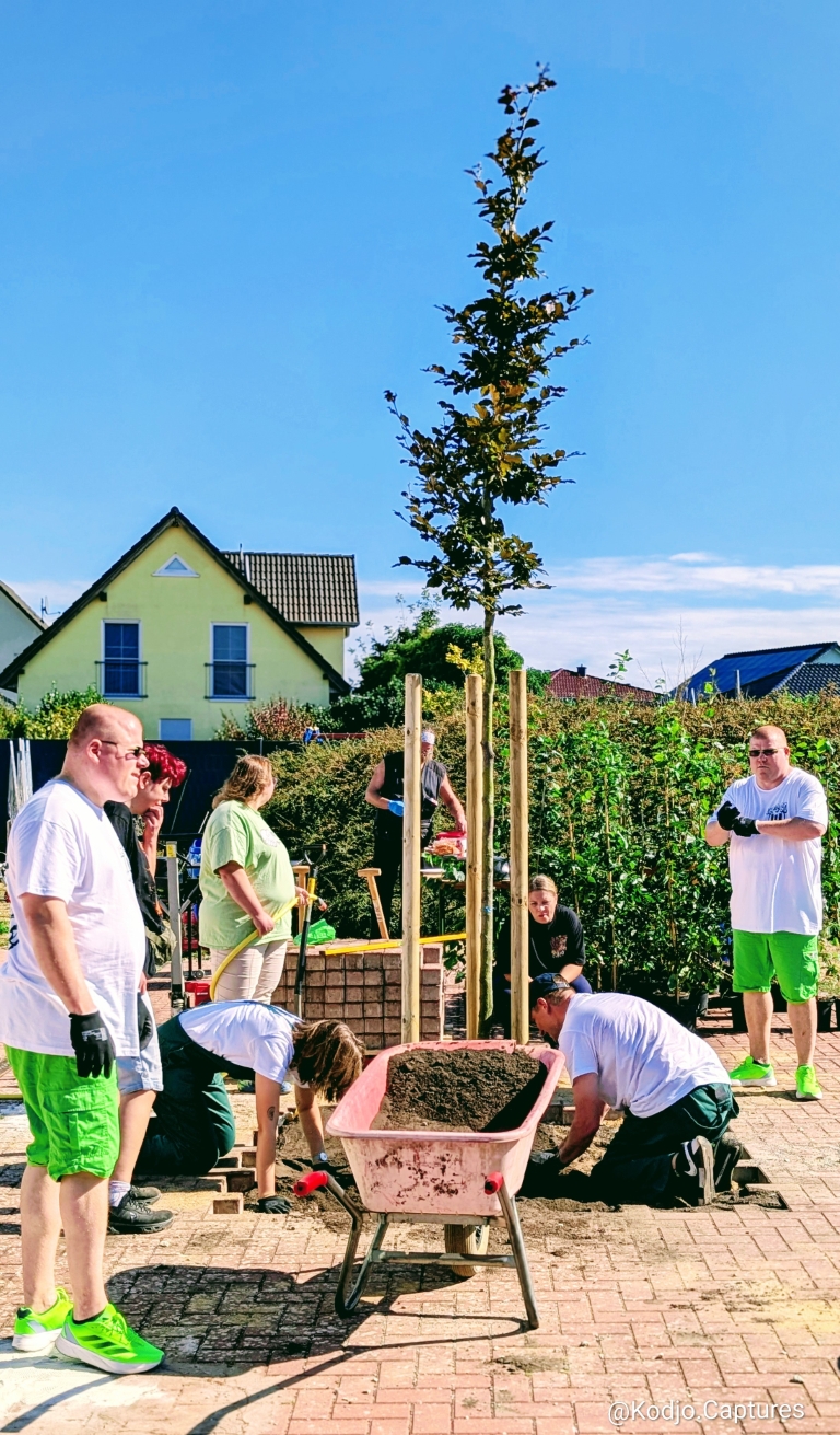 2026 09 15 AfEAktionstagVflWolfsburg 12