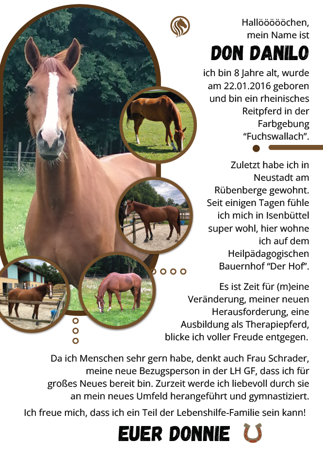 Hallo ich bin Don Danilo