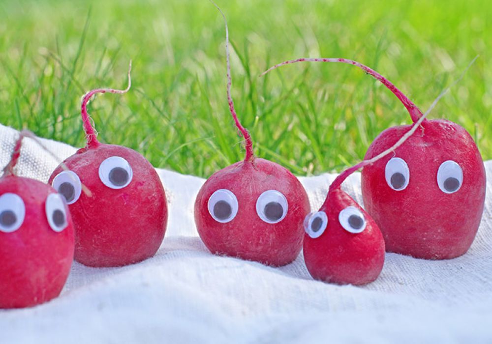 Integrations- kindertagesstätte Radieschen
